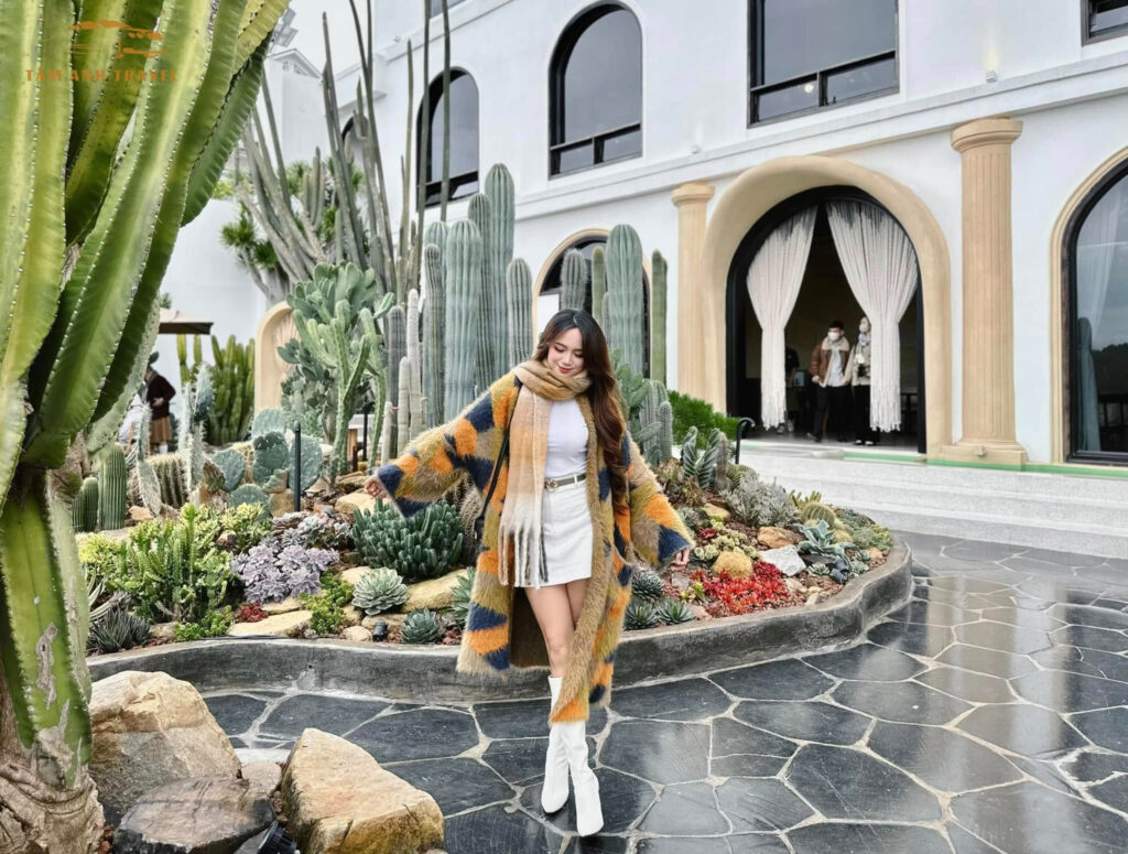 Hoa Xương Rồng Đà Lạt
